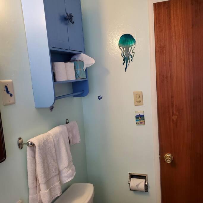 Sweet 2 Bedroom Close To U Of Oregon & Track! Eugene Exterior photo